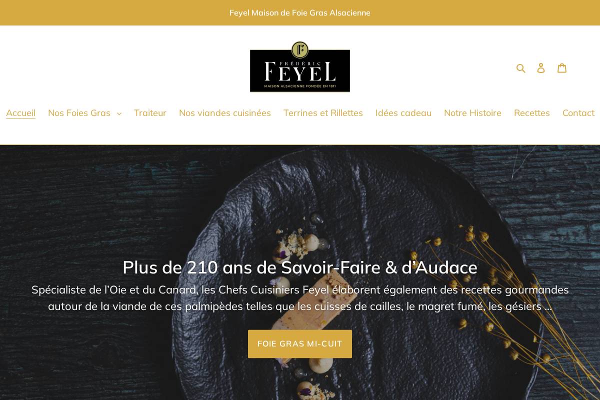 Feyel homepage screenshot