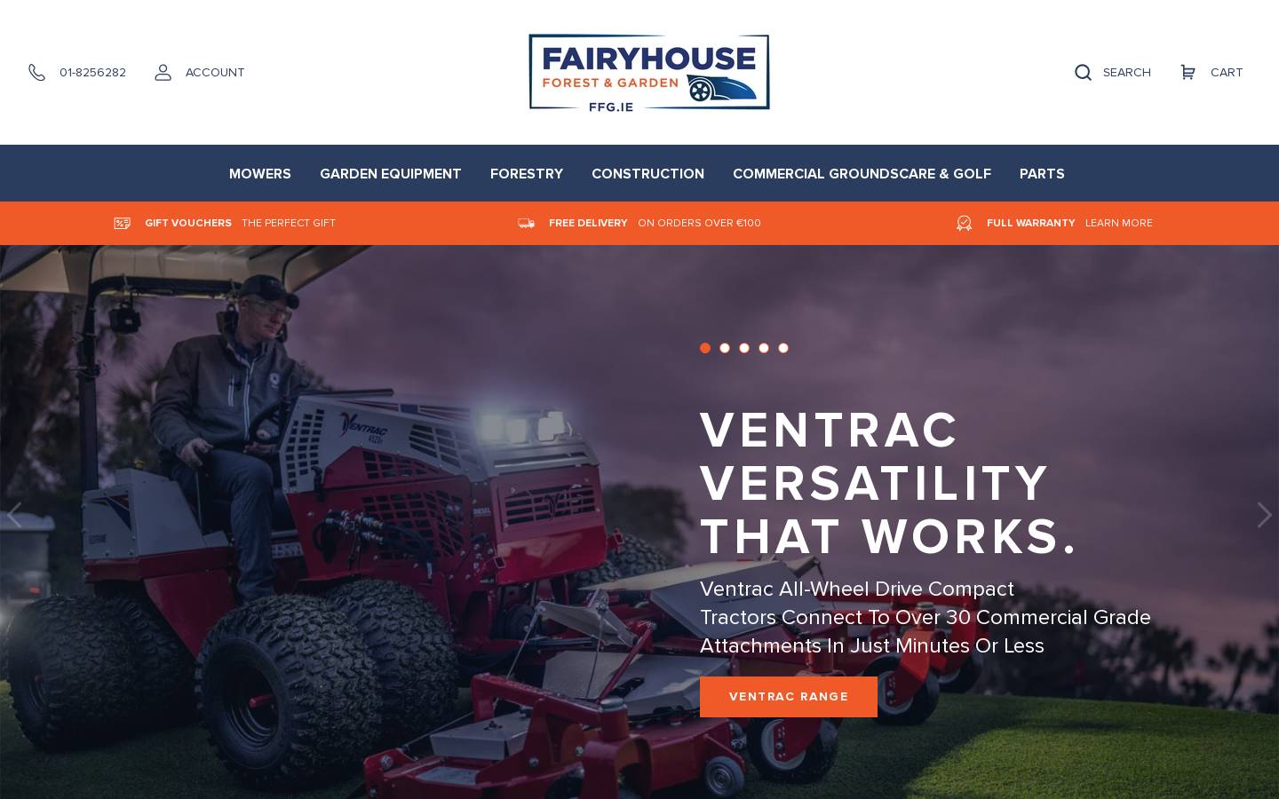 ffg.ie homepage screenshot