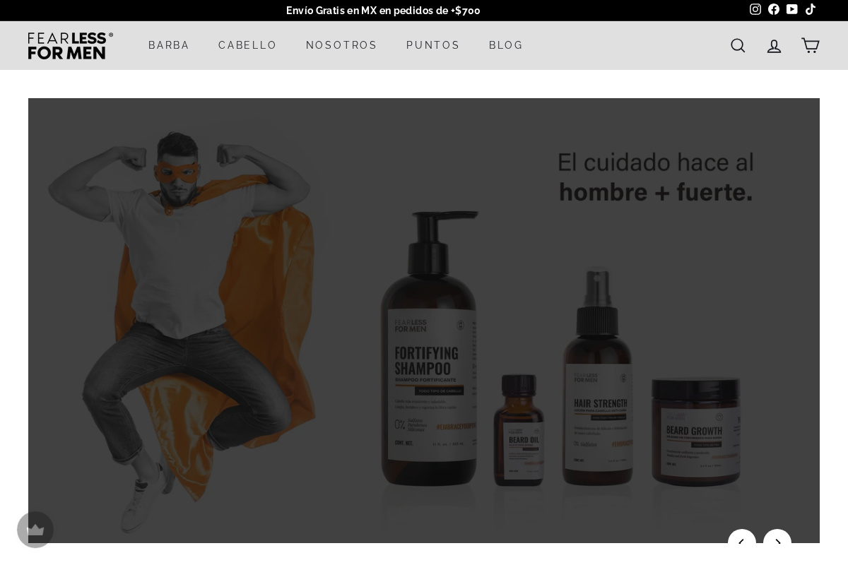 ffm.mx homepage screenshot