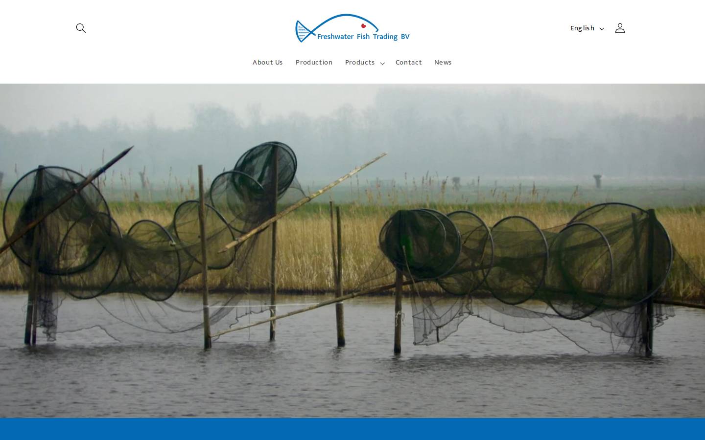 fftradingbv.com homepage screenshot