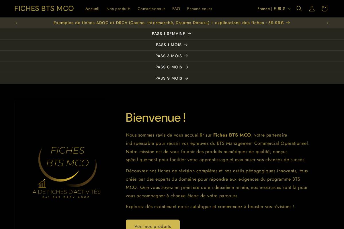 FICHES BTS MCO homepage screenshot