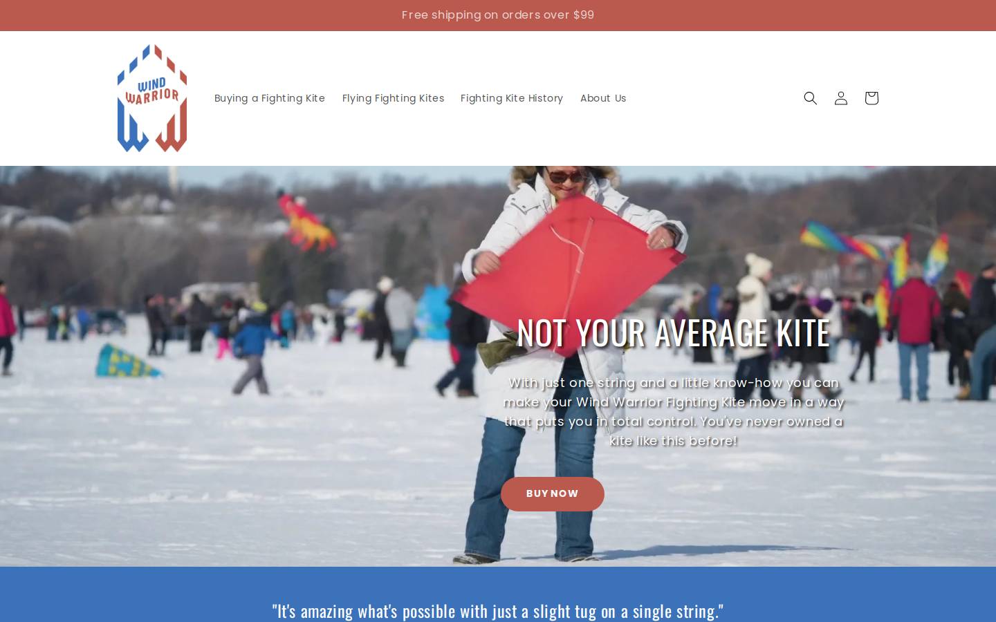 fightingkites.com homepage screenshot