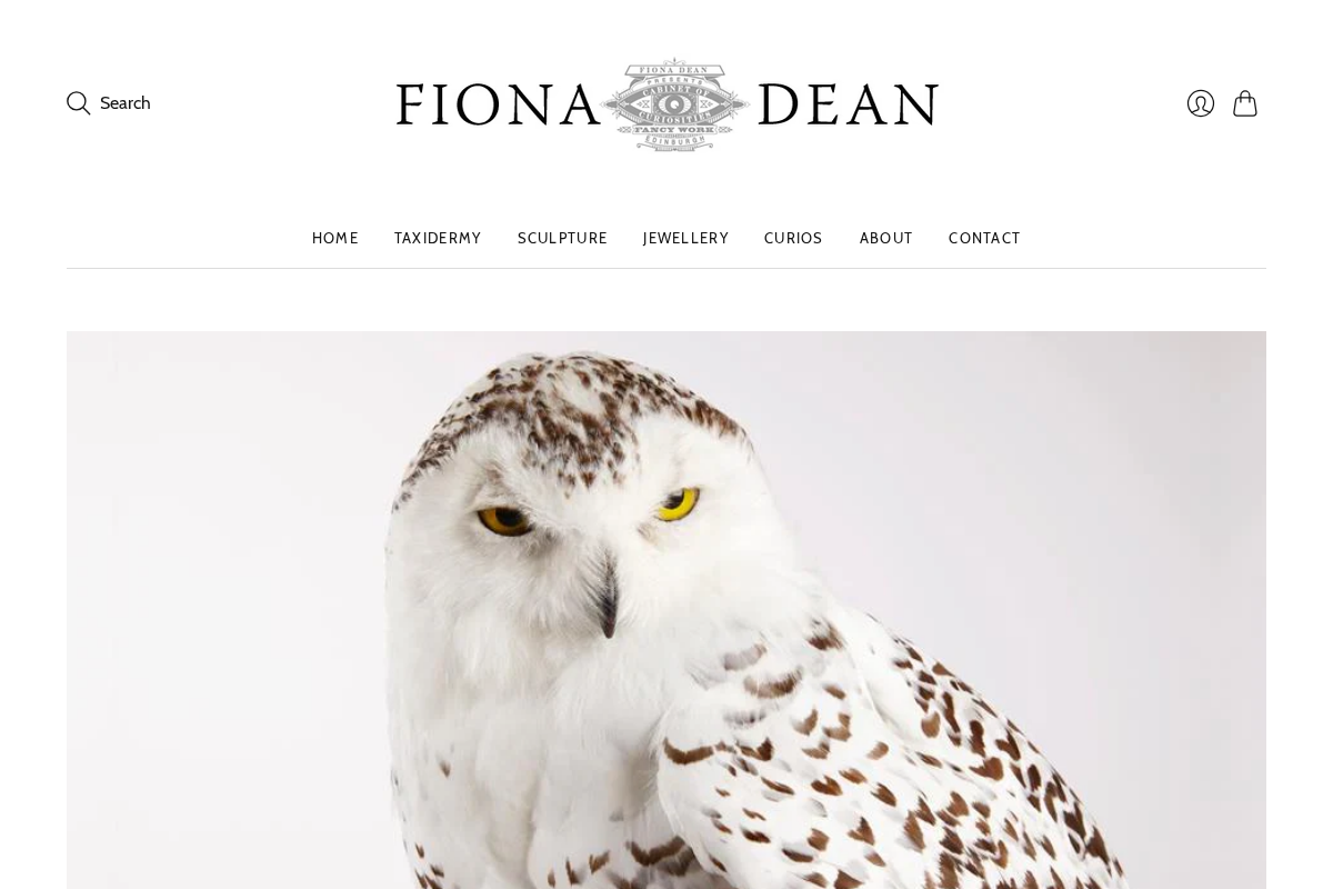 fionadean.co.uk homepage screenshot