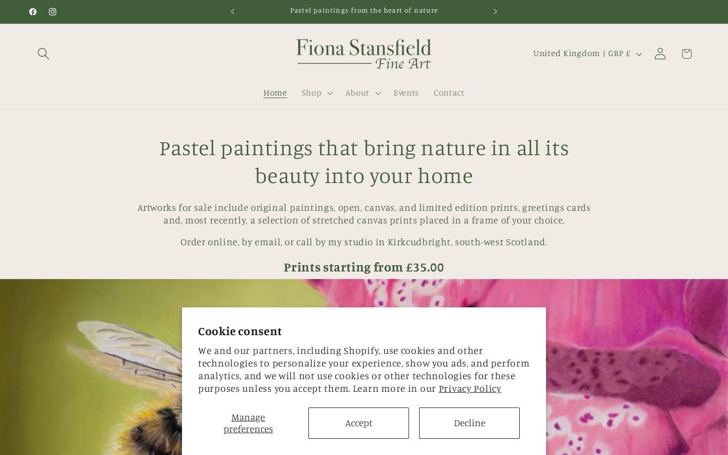 fionastansfieldfineart.com homepage screenshot