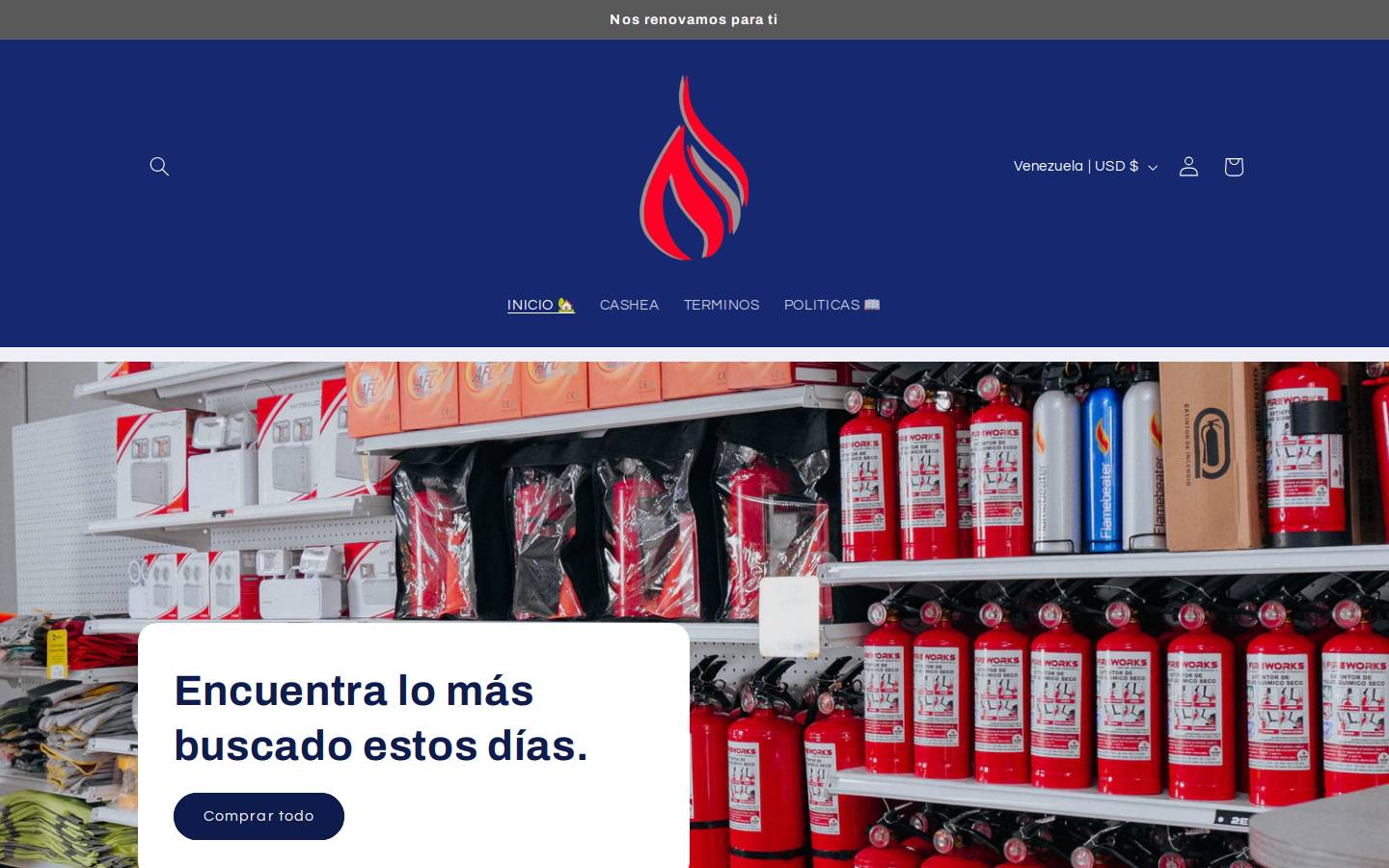 fireworksconsultores.com homepage screenshot