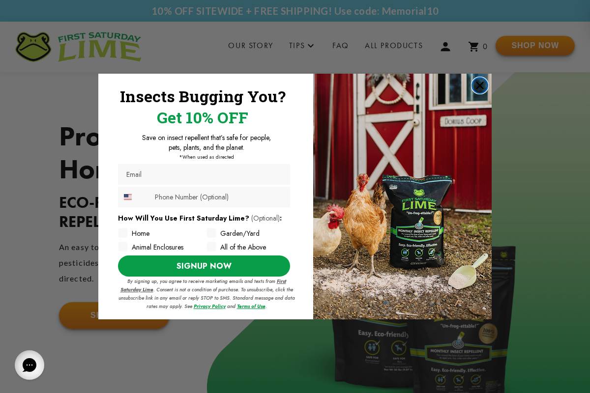firstsaturdaylime.com homepage screenshot