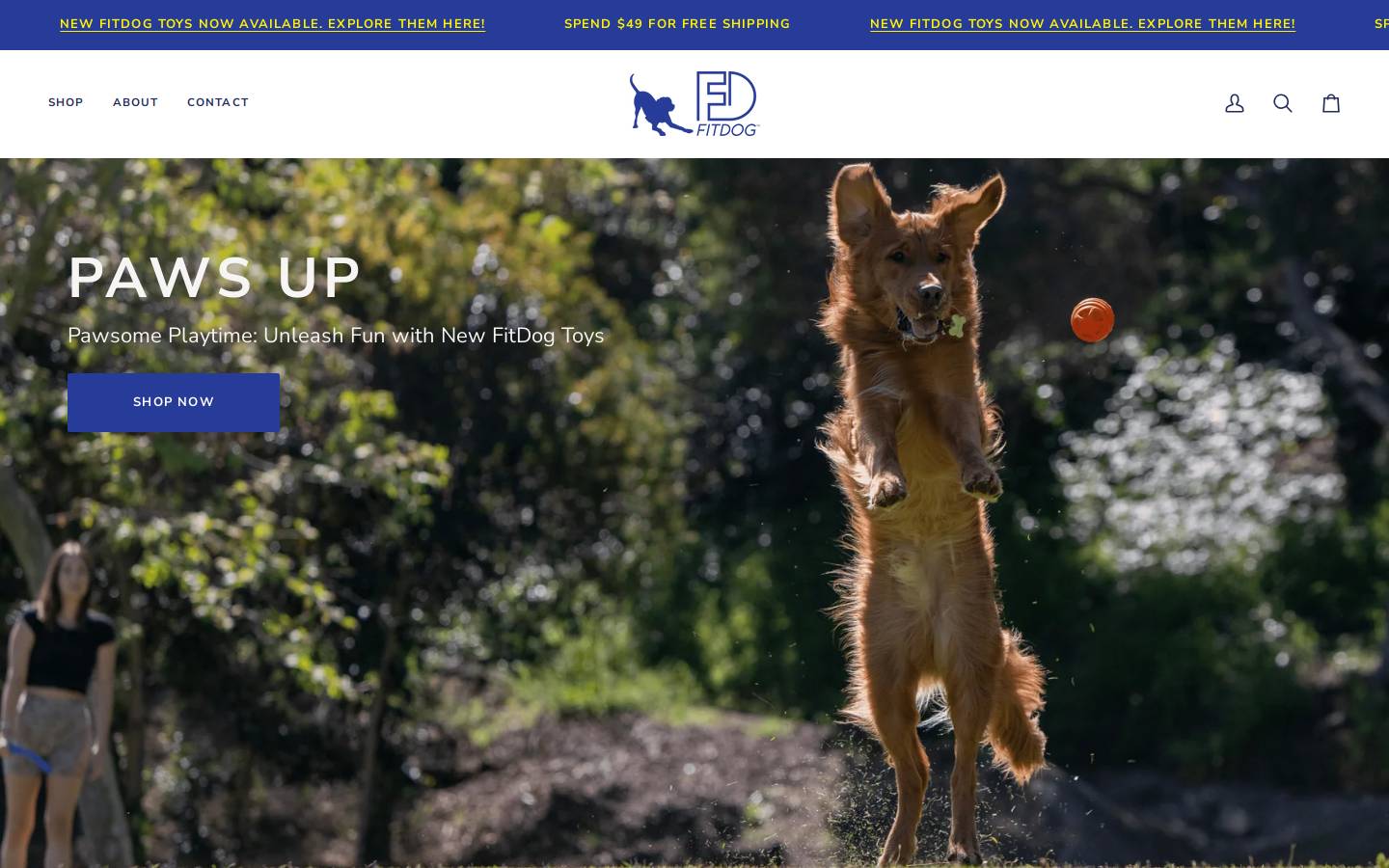 fitdogtoys.com homepage screenshot