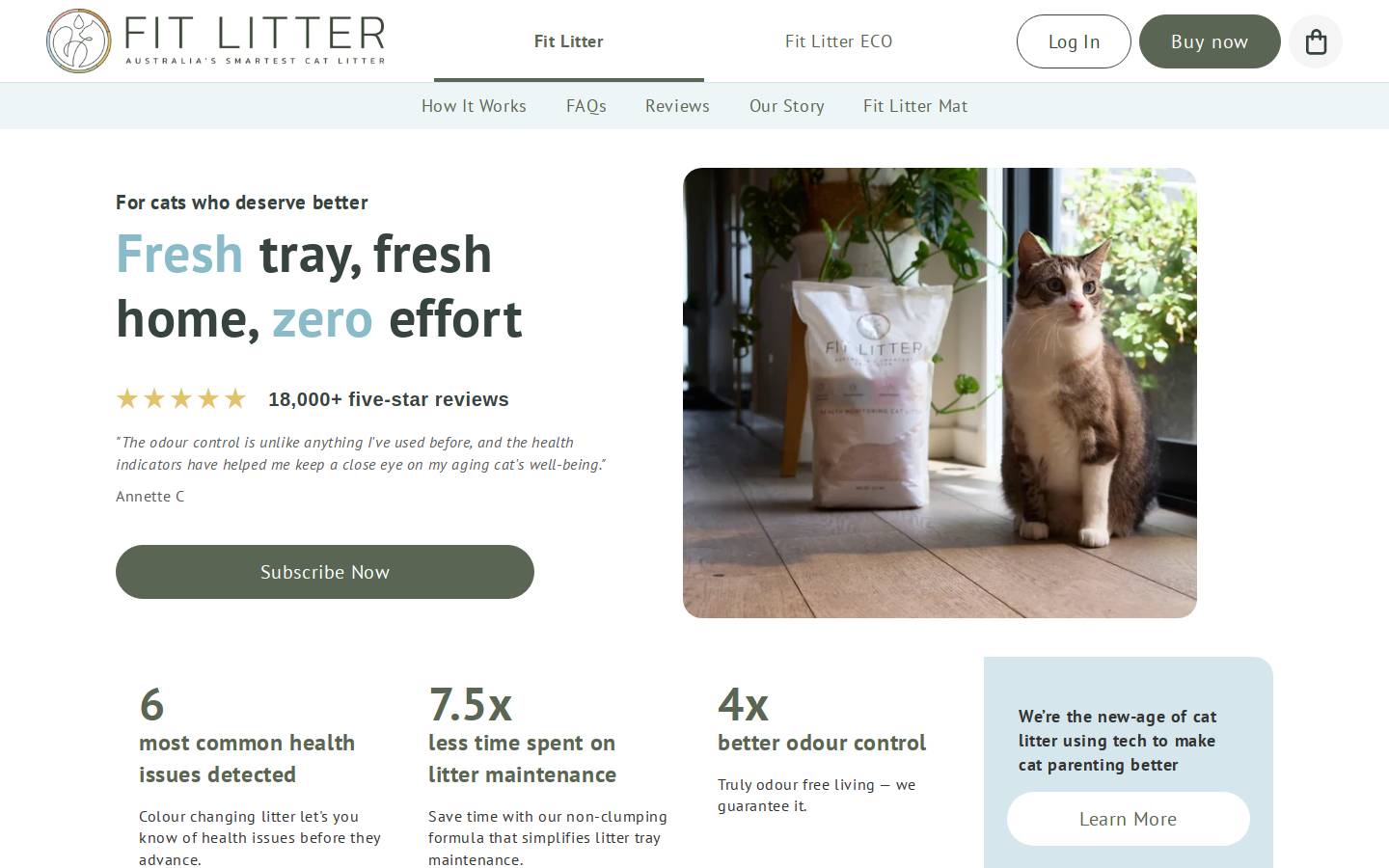 fitlitter.com.au homepage screenshot