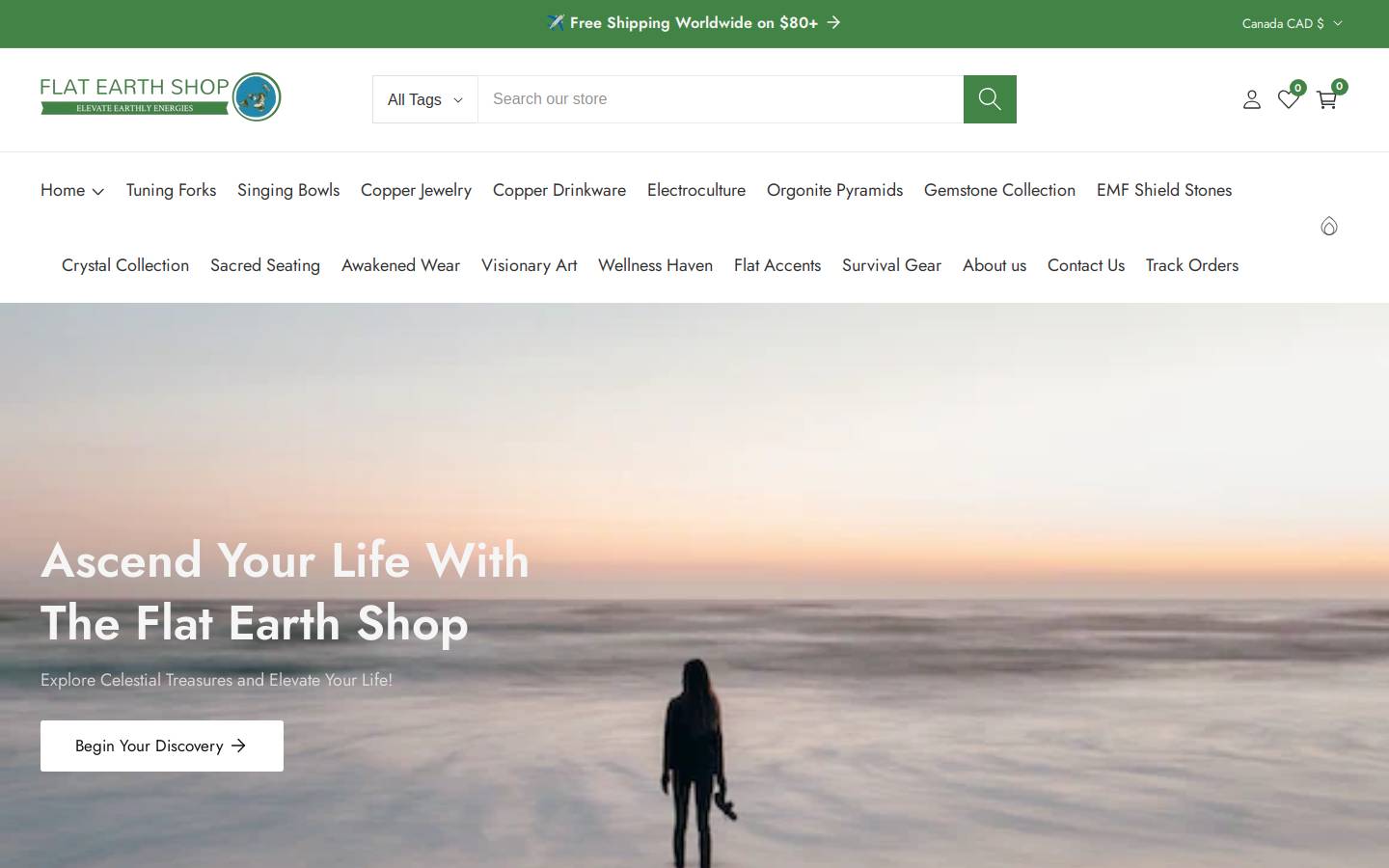 flat-earth-shop.com homepage screenshot