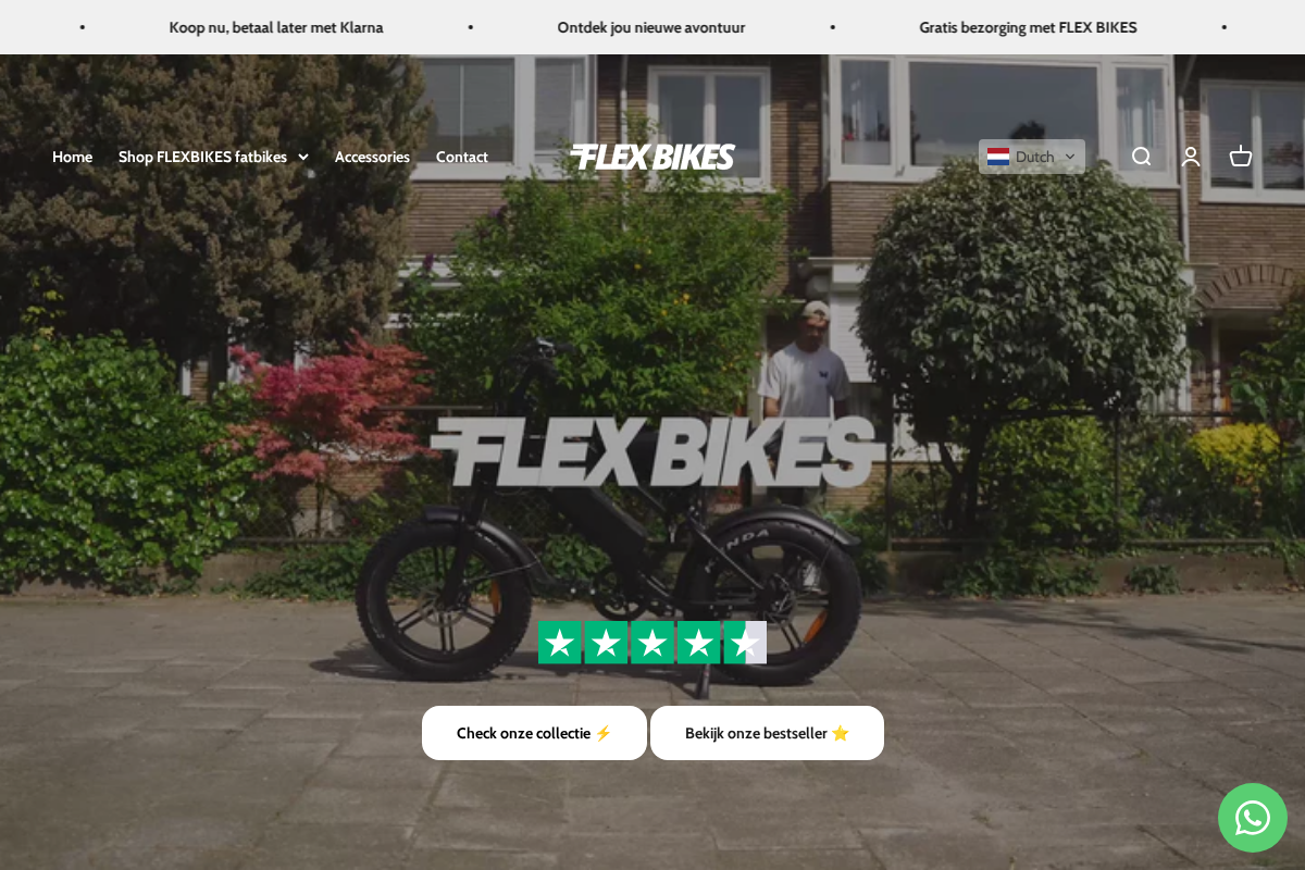 FLEXBIKES homepage screenshot