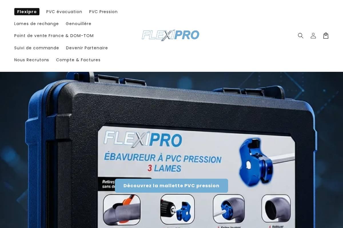 Flexi Pro homepage screenshot
