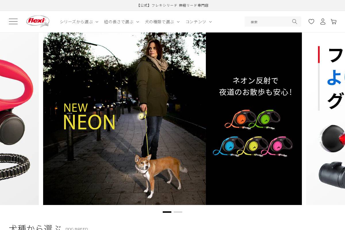 flexilead.store homepage screenshot