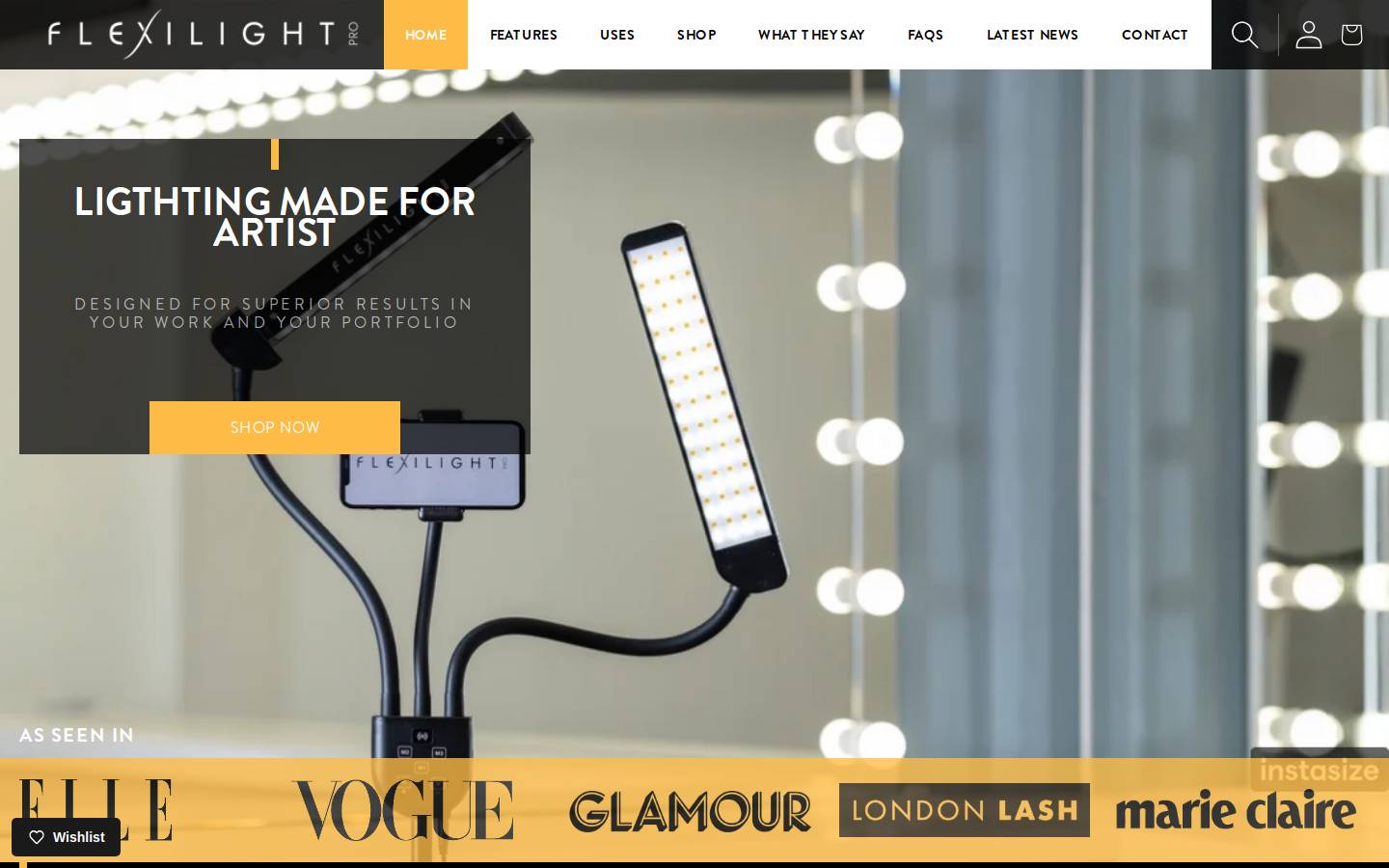 flexilight-pro.com homepage screenshot