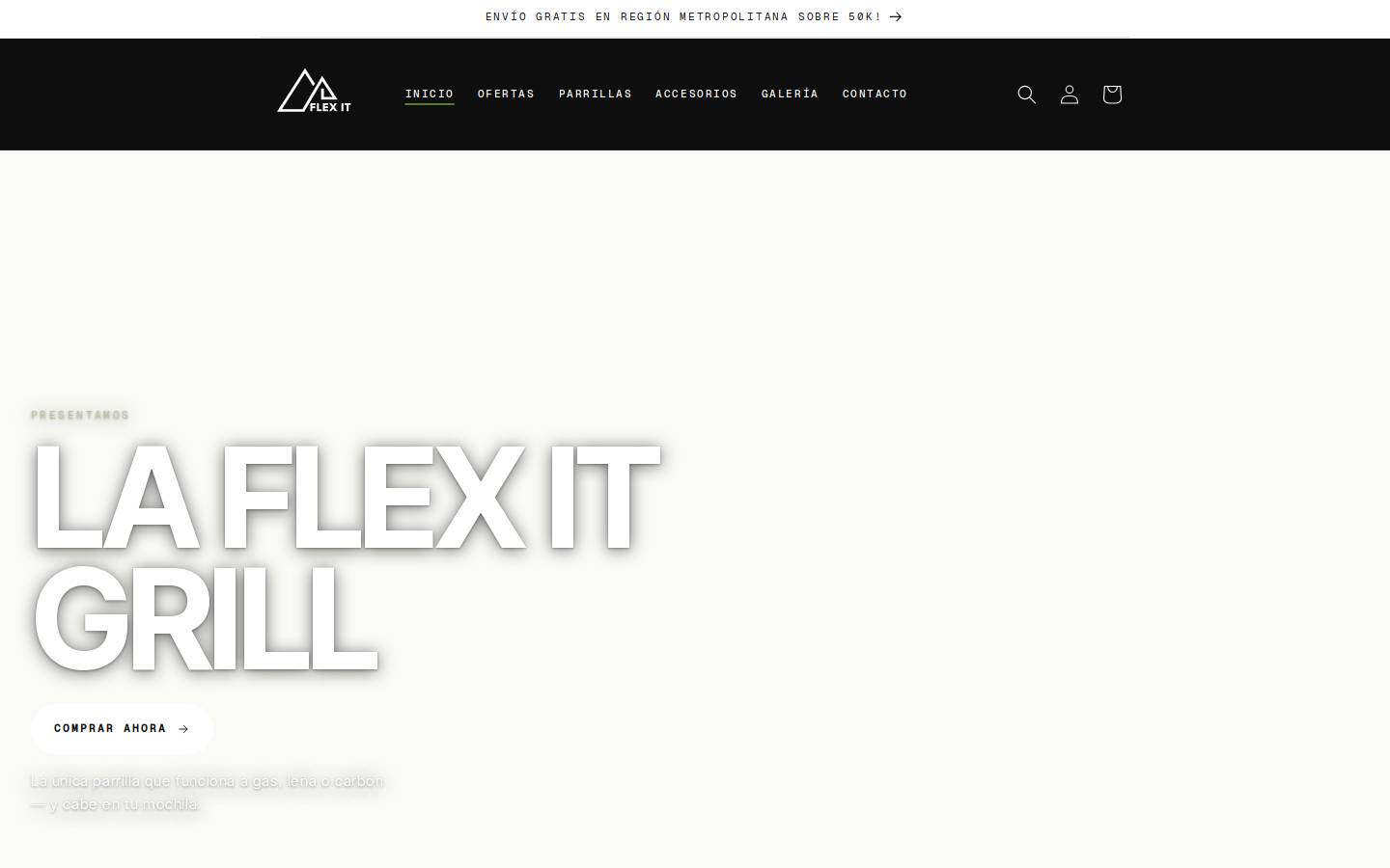 flexitstore.com homepage screenshot
