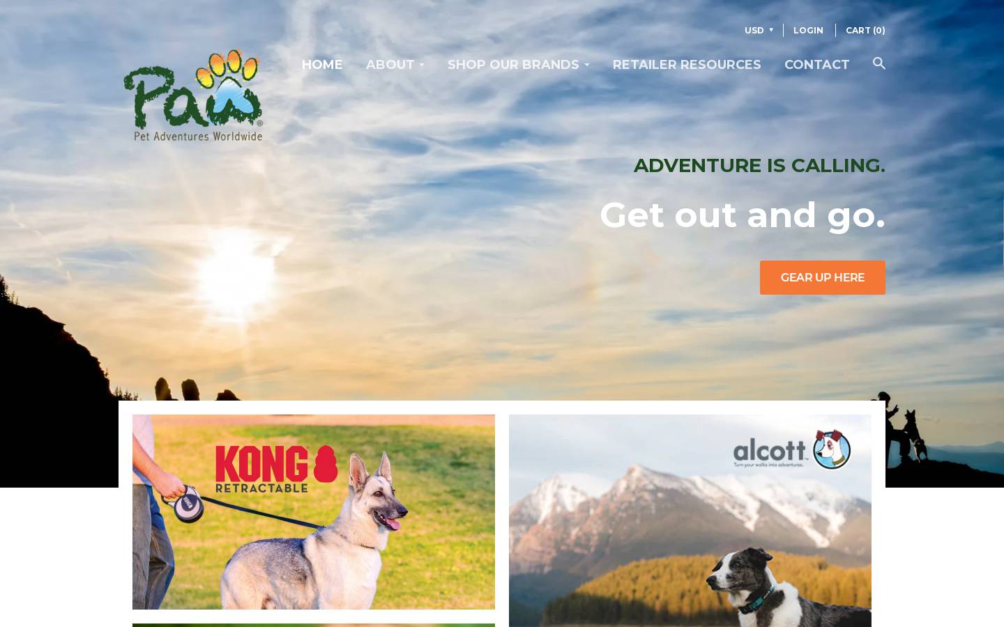 flexiusa.com homepage screenshot