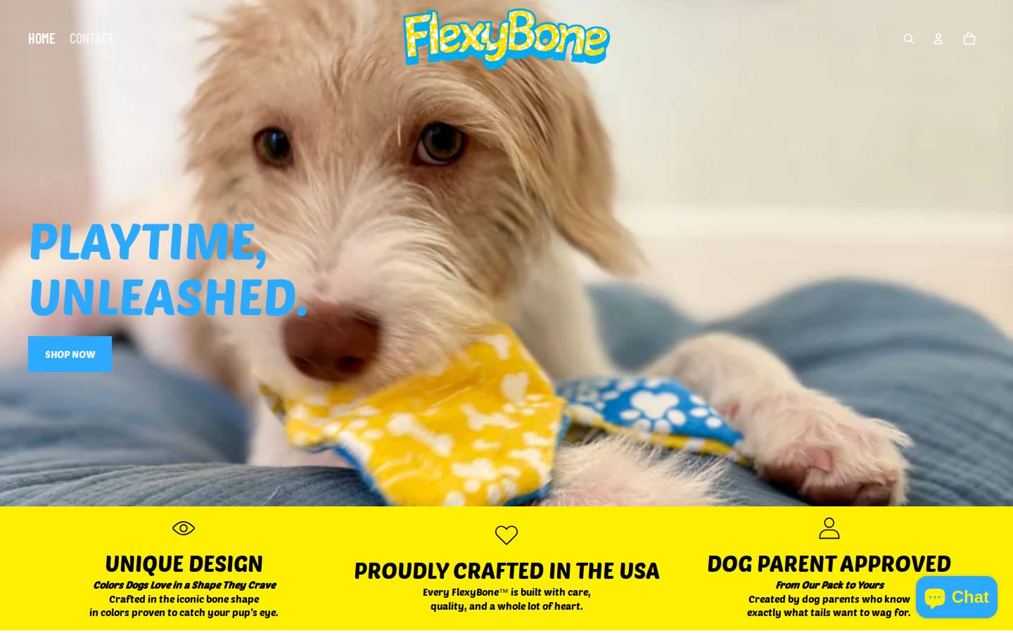 flexybone.com homepage screenshot