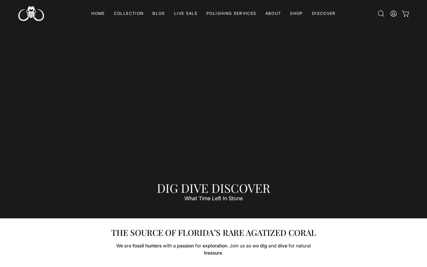 flfossil.com homepage screenshot