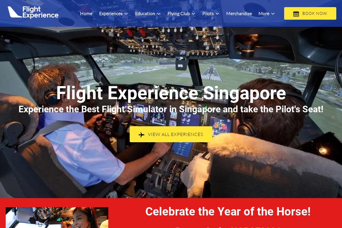 Flight Experience homepage screenshot