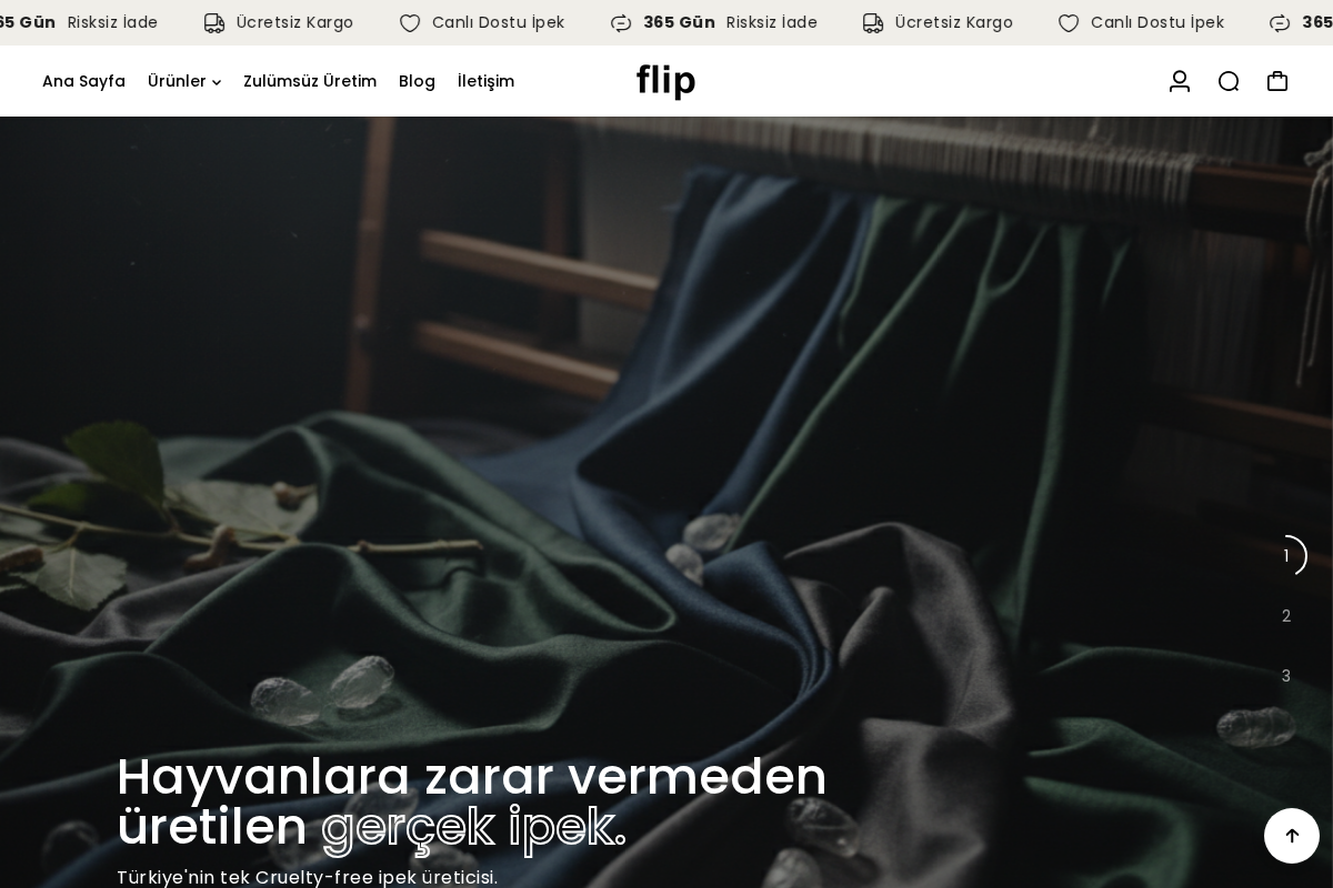 flip homepage screenshot