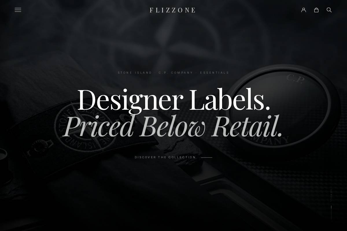 Flizzone homepage screenshot