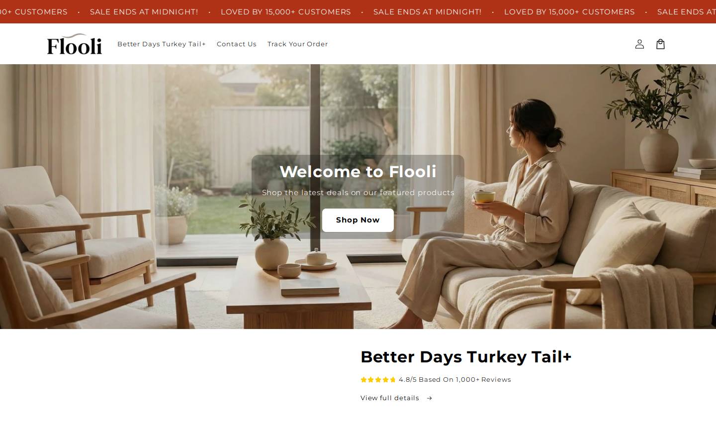 flooli.com homepage screenshot