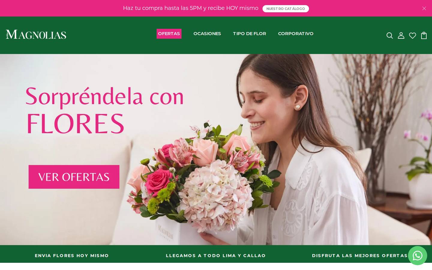 floreriamagnolias.com homepage screenshot