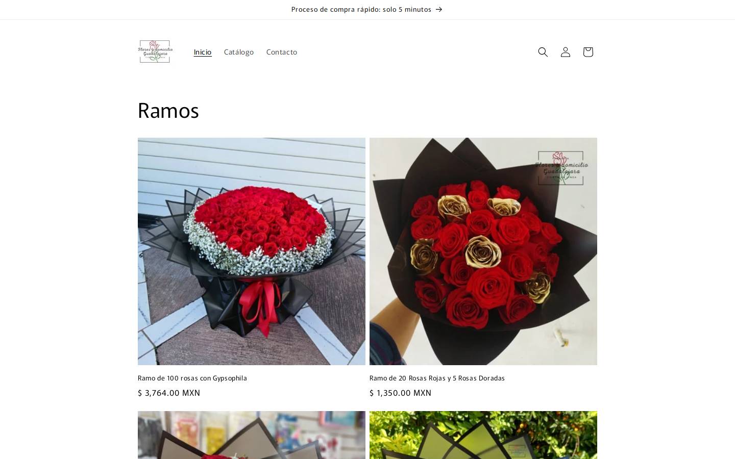 floresadomicilioguadalajara.com homepage screenshot