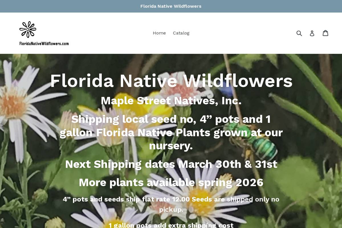 floridanativewildflowers.com homepage screenshot