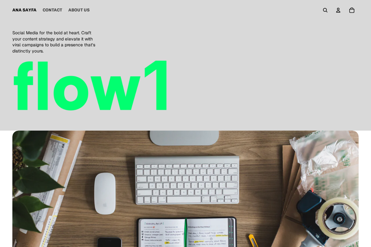 FLOW1 homepage screenshot