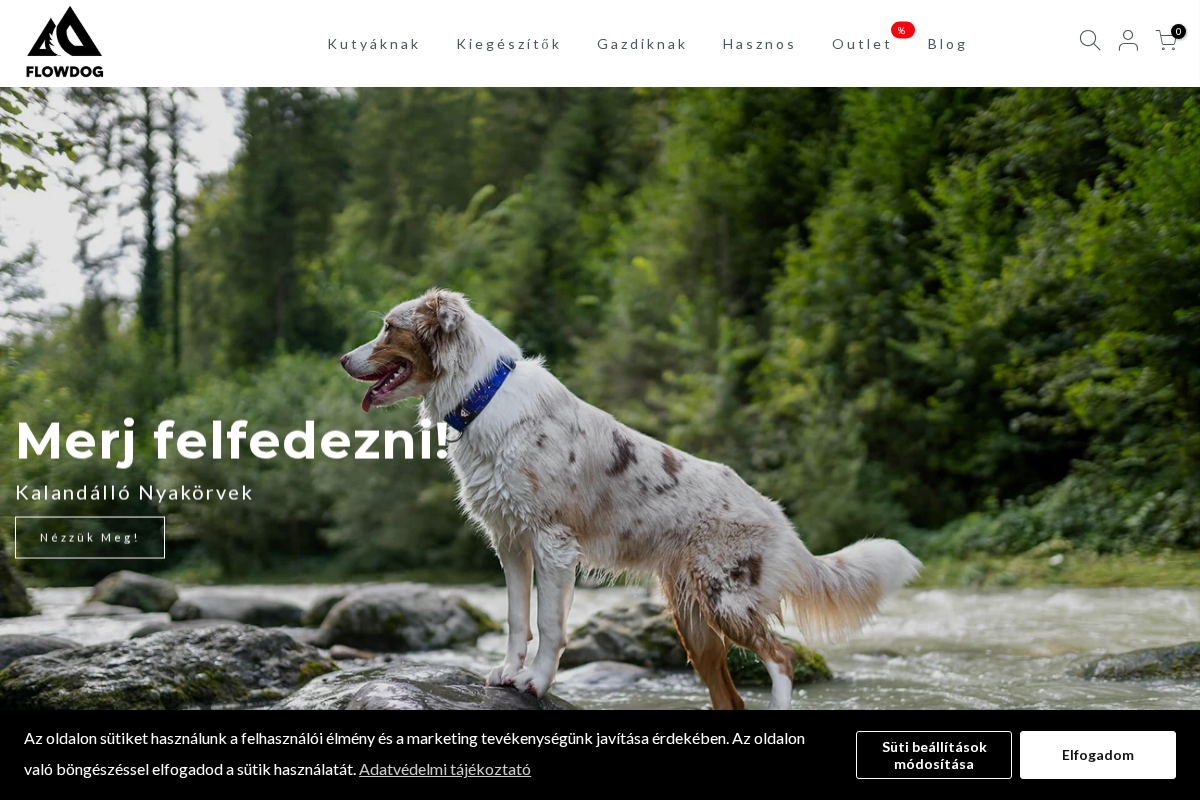 Flowdog homepage screenshot