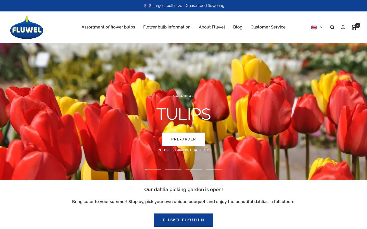 Fluwel homepage screenshot