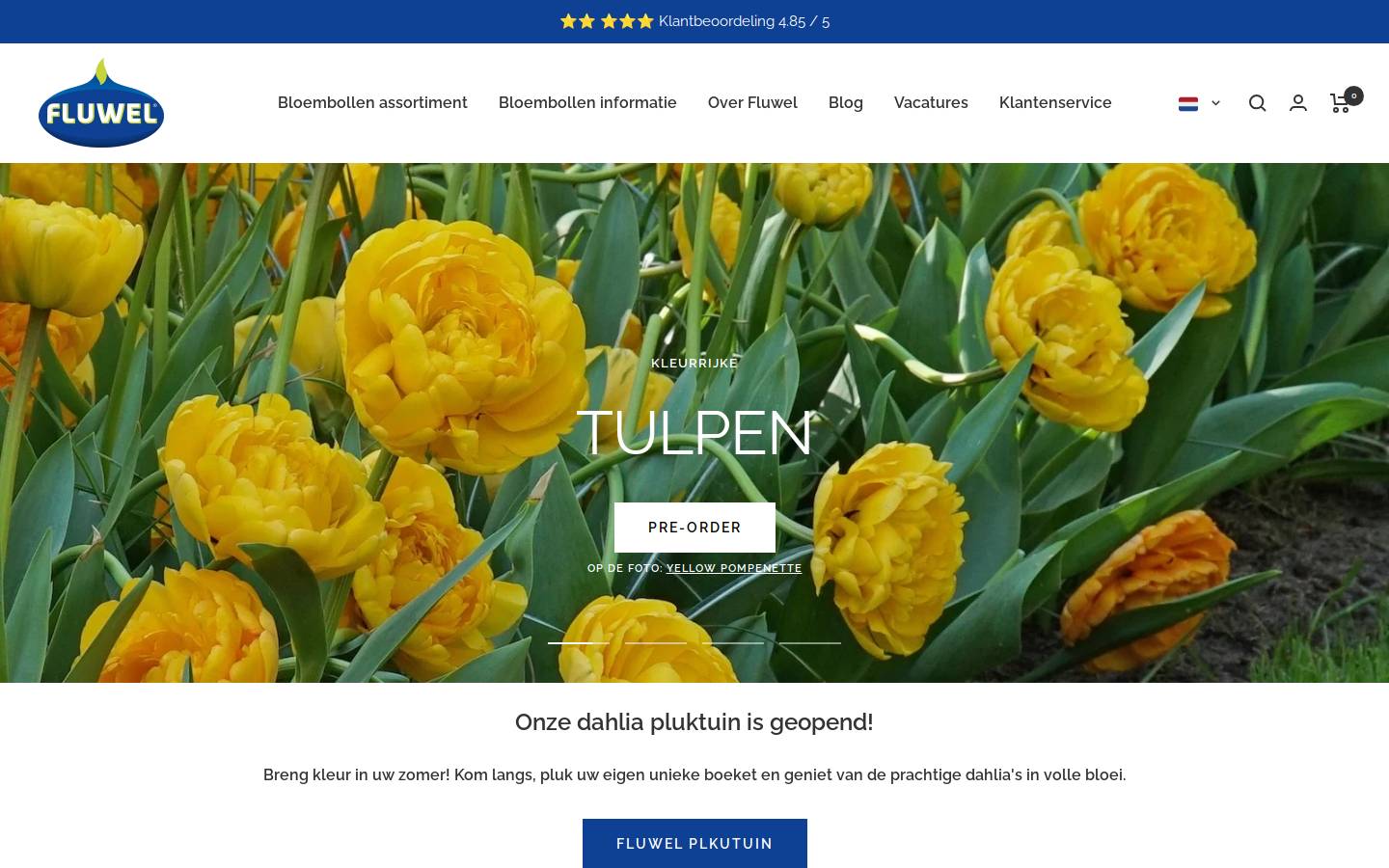 Fluwel homepage screenshot