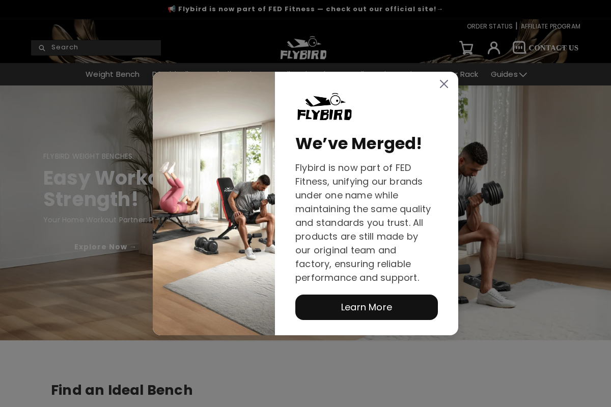 Flybird Fitness homepage screenshot