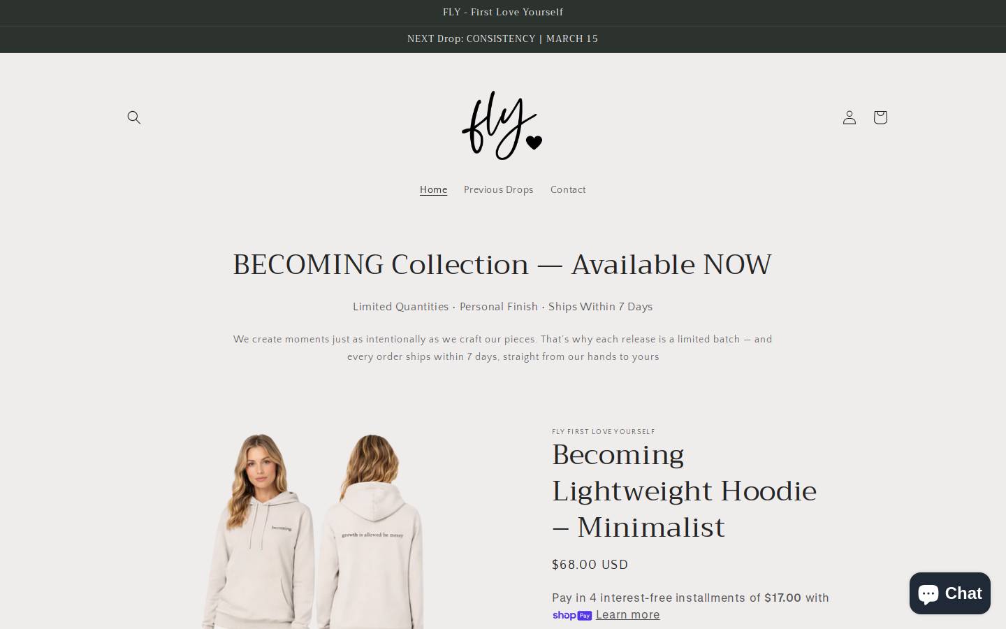 flyclothinggroup.com homepage screenshot