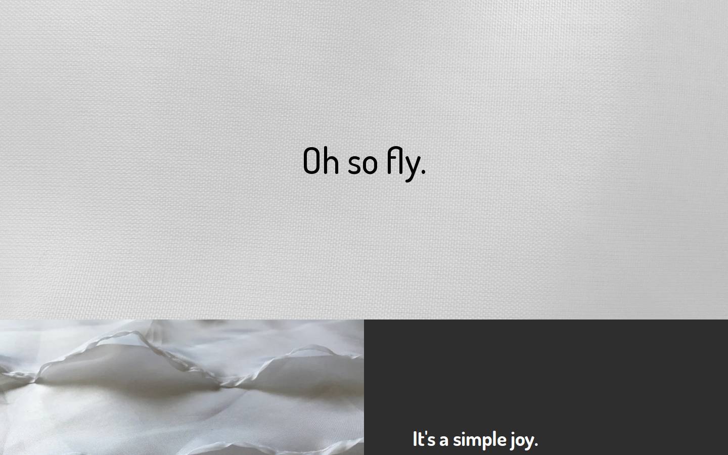flyestkite.com homepage screenshot