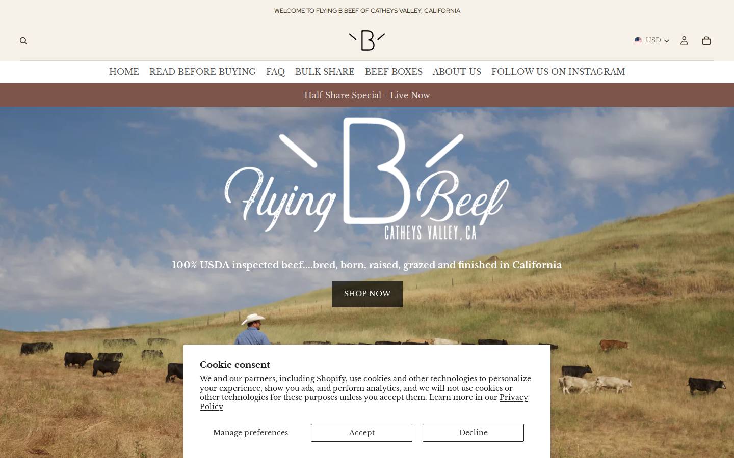 flyingbbeef.com homepage screenshot