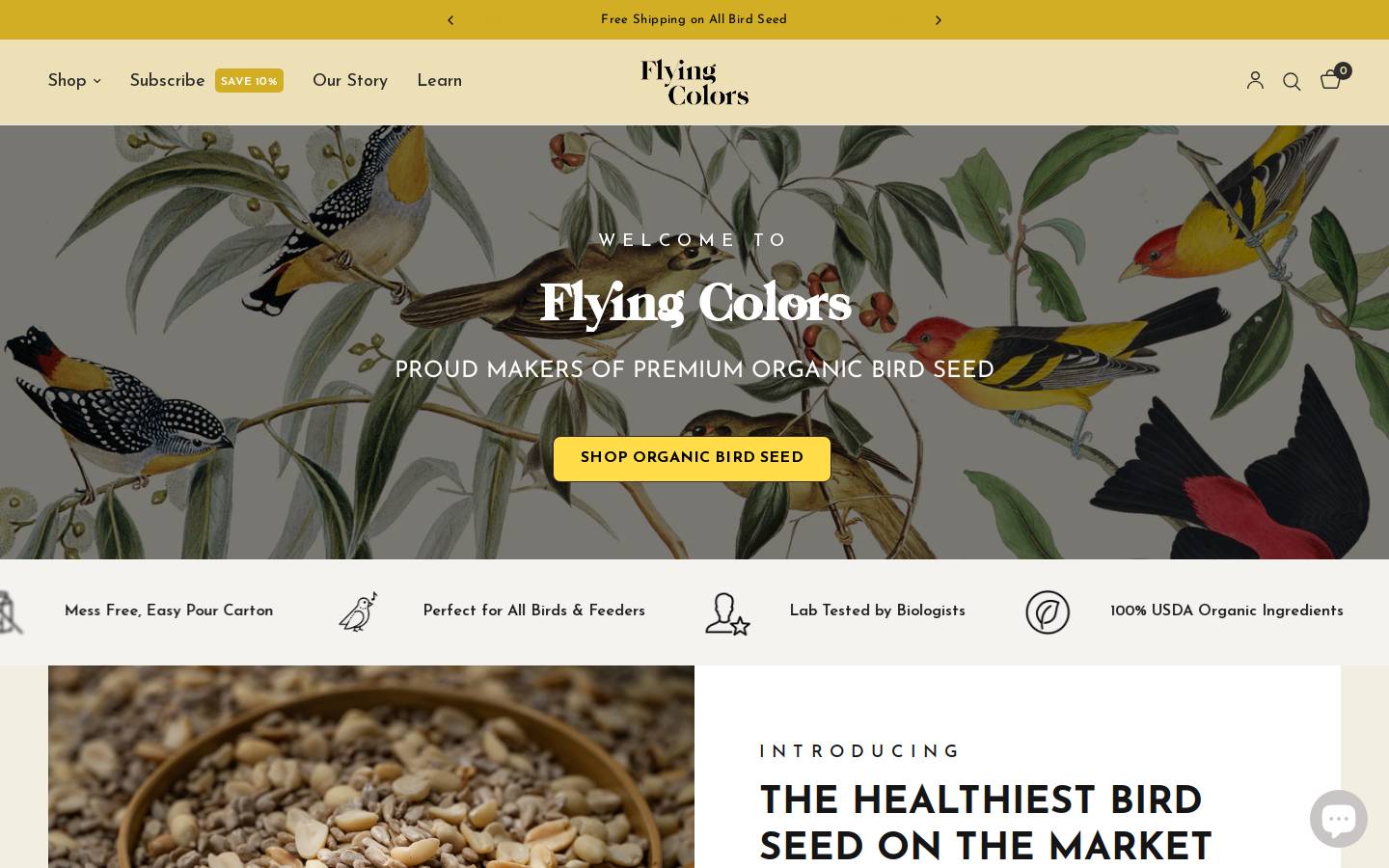 flyingcolors.co homepage screenshot