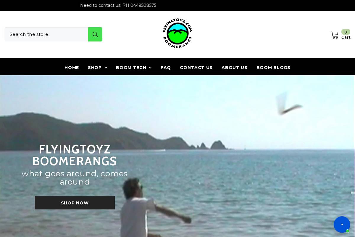flyingtoyz.com homepage screenshot