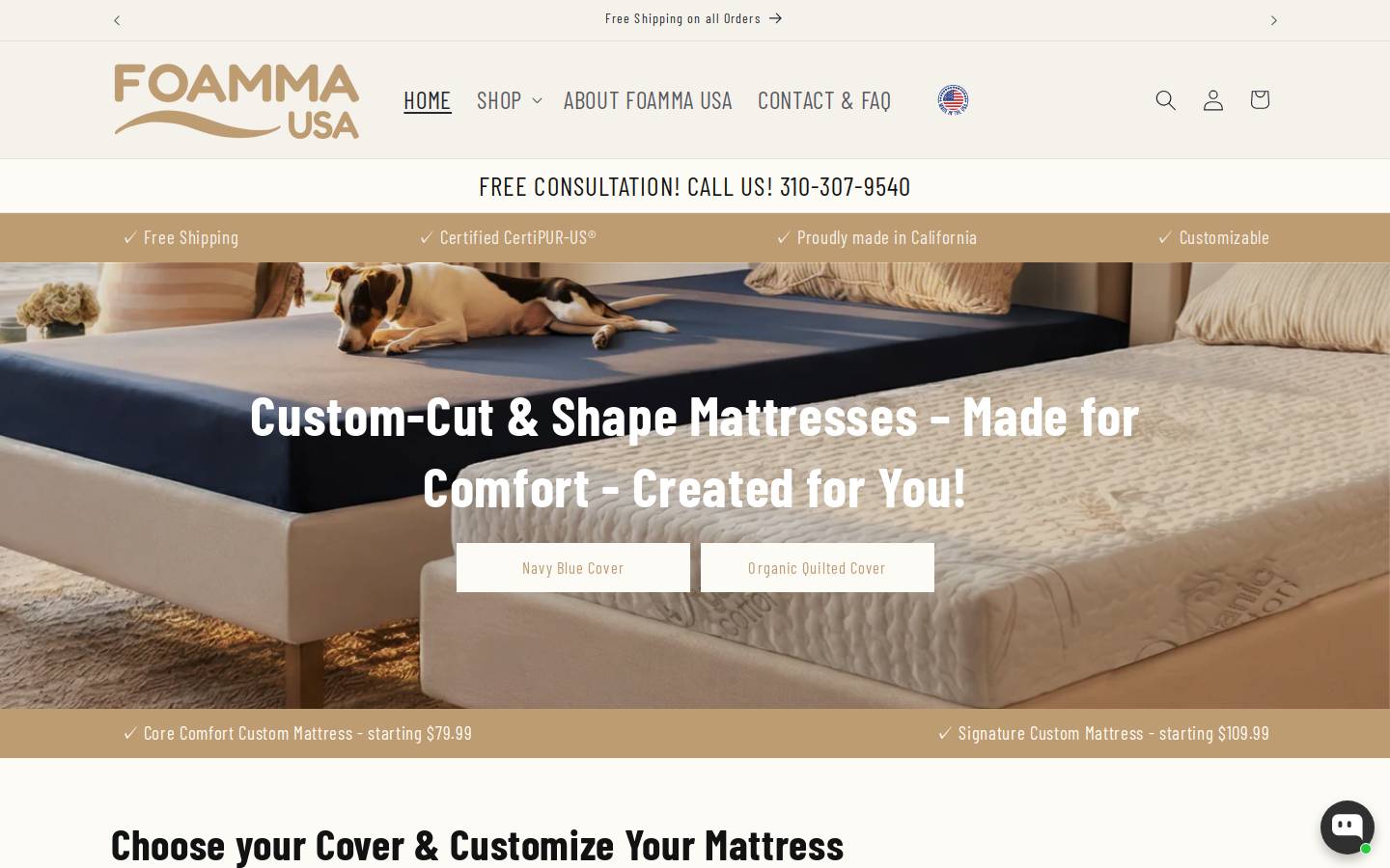 foammausa.com homepage screenshot