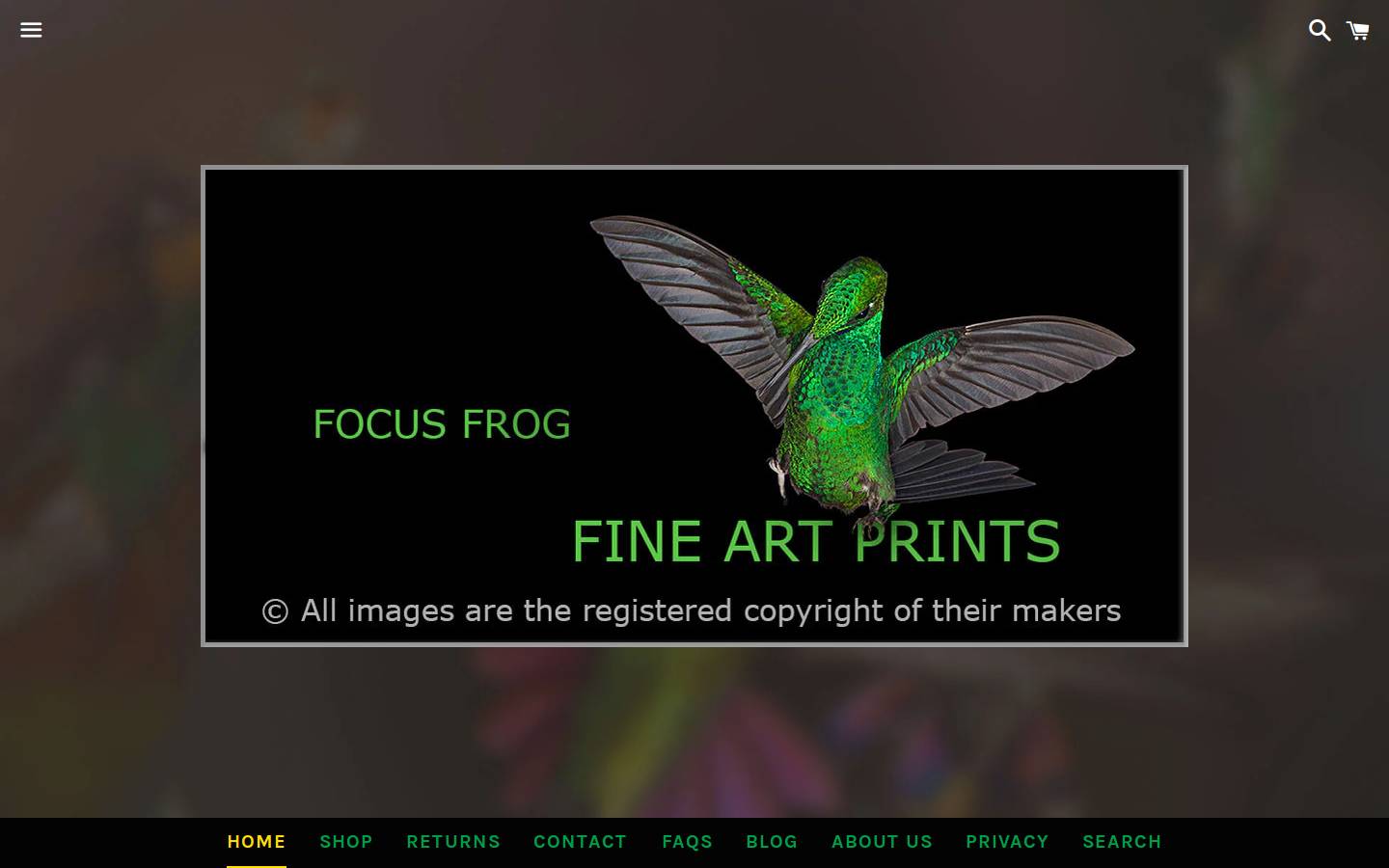 focusfrogstore.com homepage screenshot