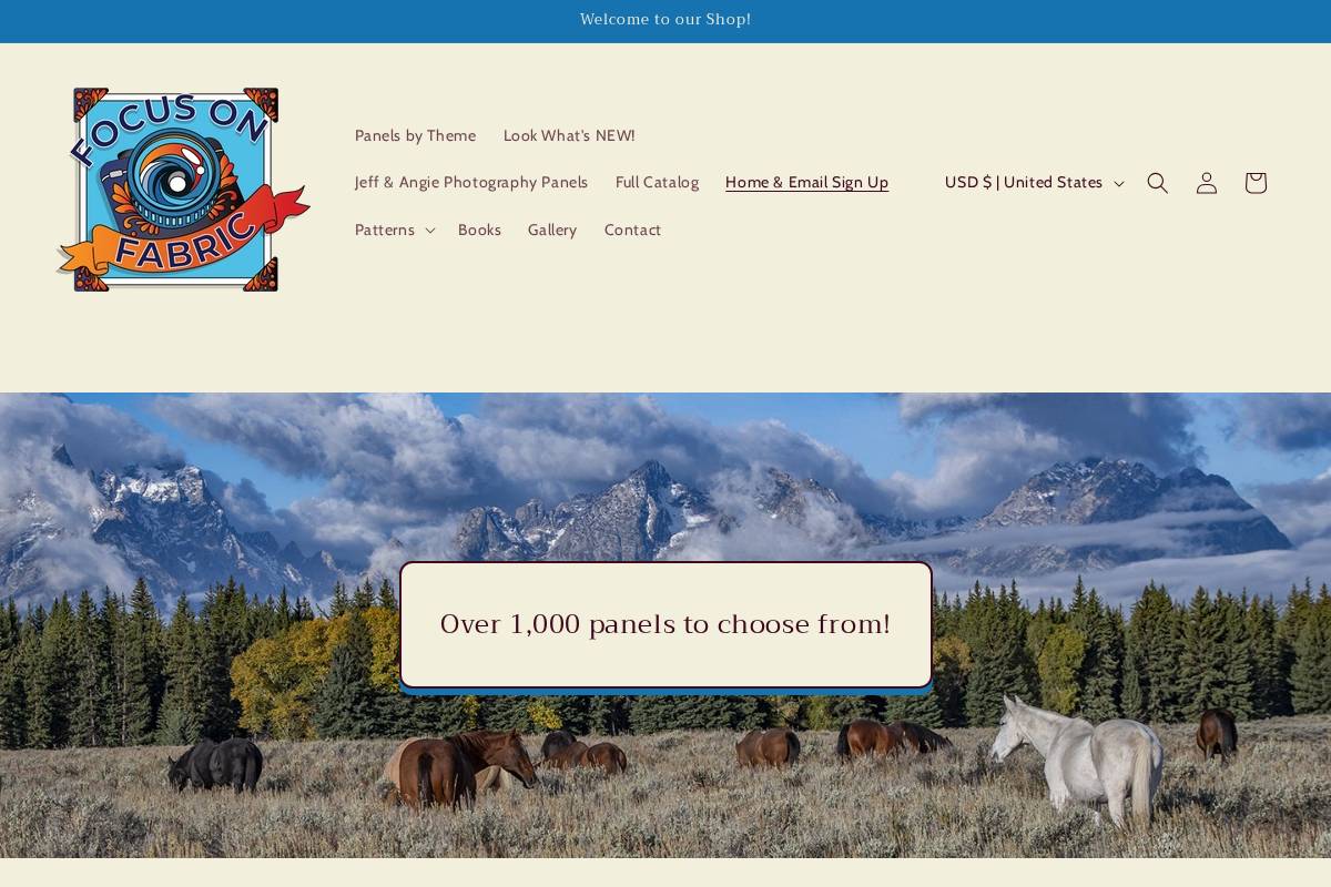 focusonfabric.com homepage screenshot
