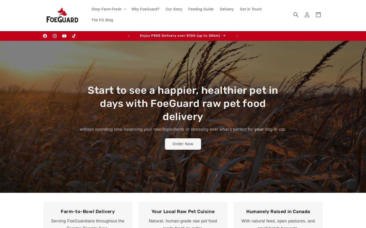 foeguard.com homepage screenshot