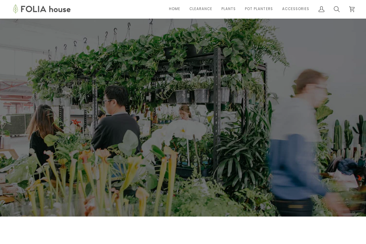 Folia House homepage screenshot