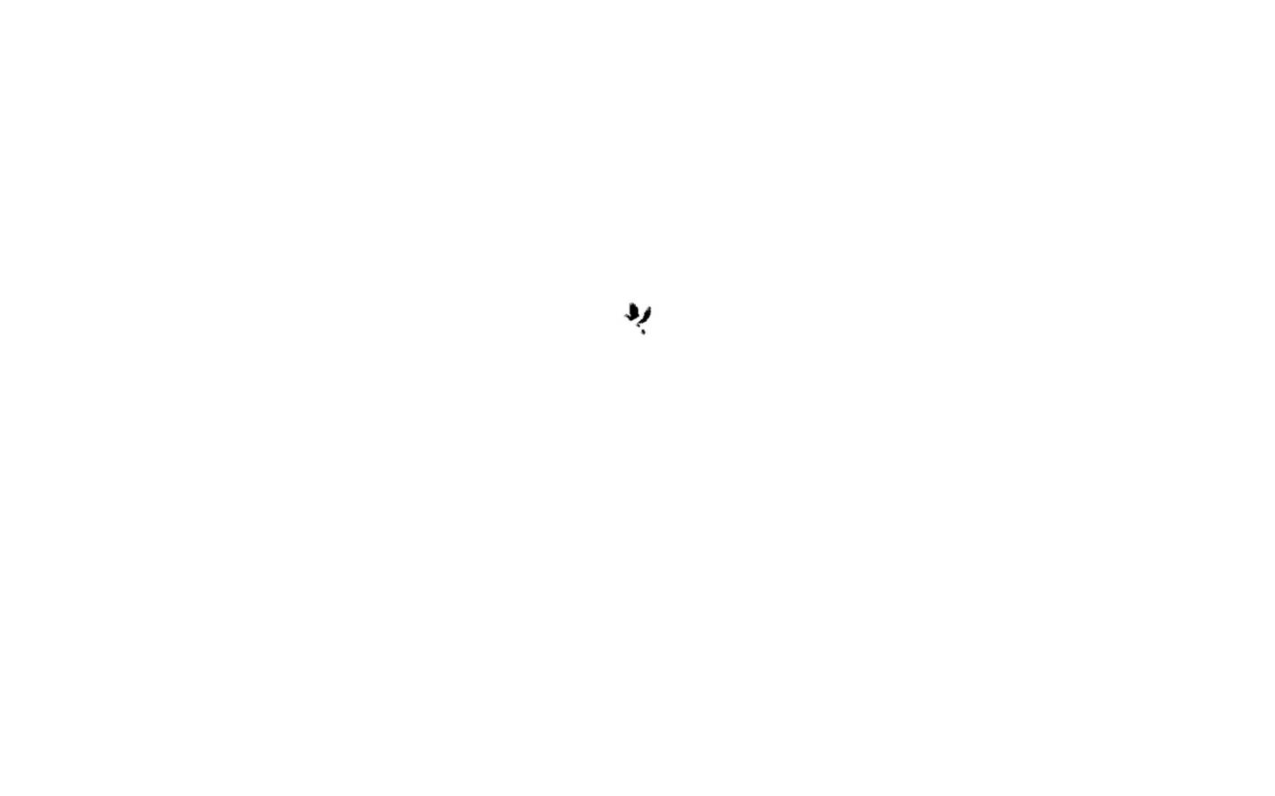 followthedove.com homepage screenshot