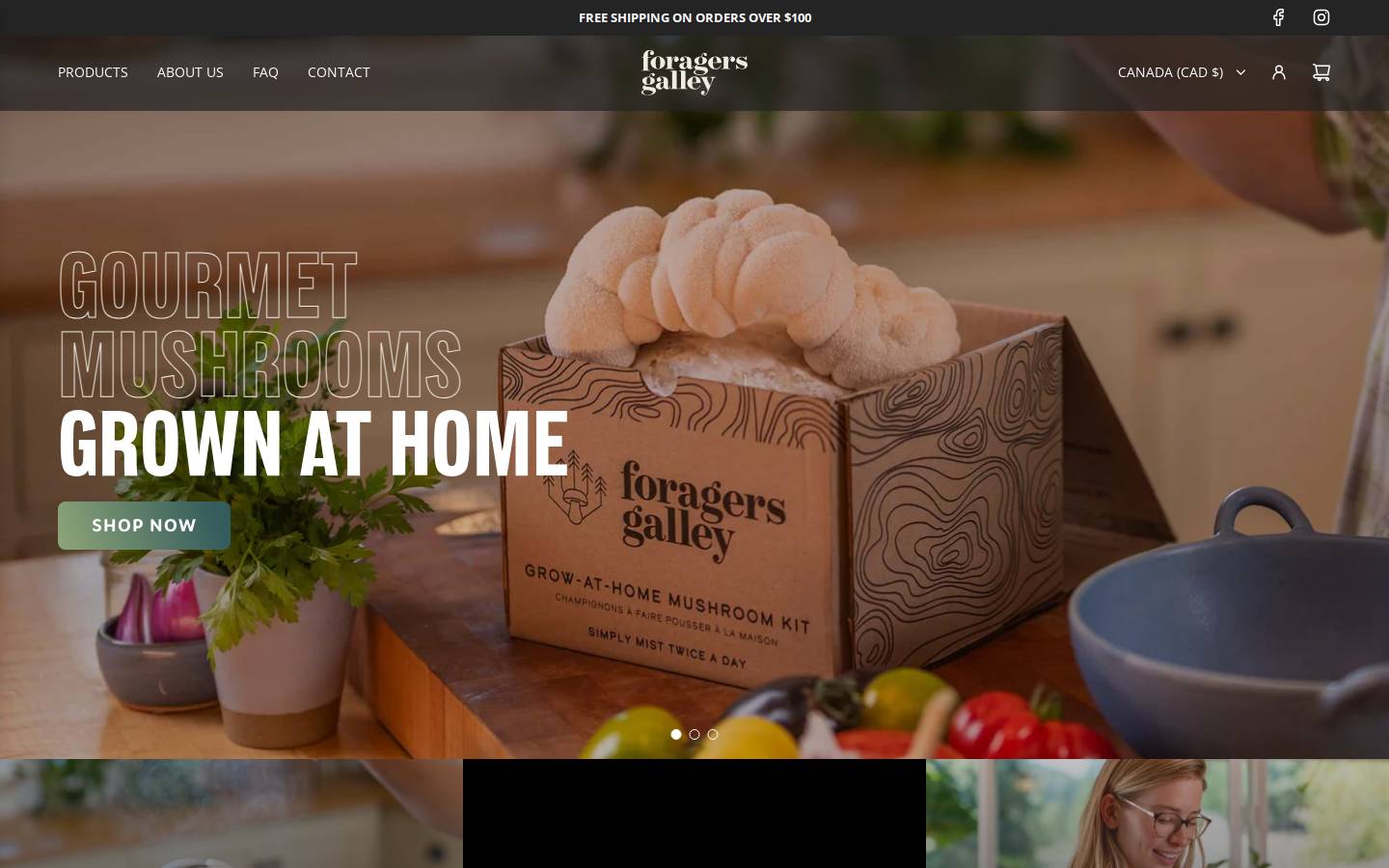 Foragers Galley homepage screenshot