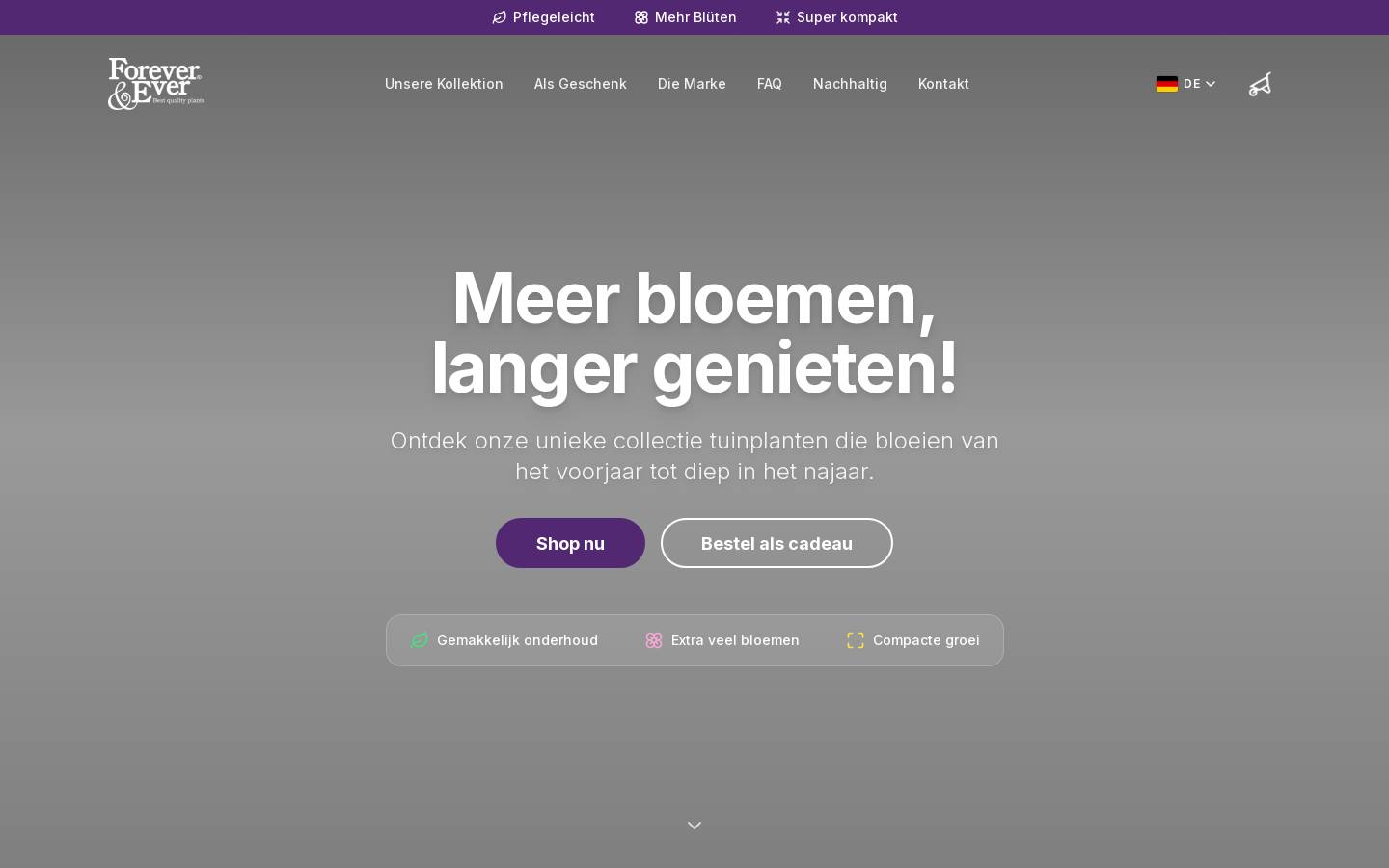 forever-ever.de homepage screenshot