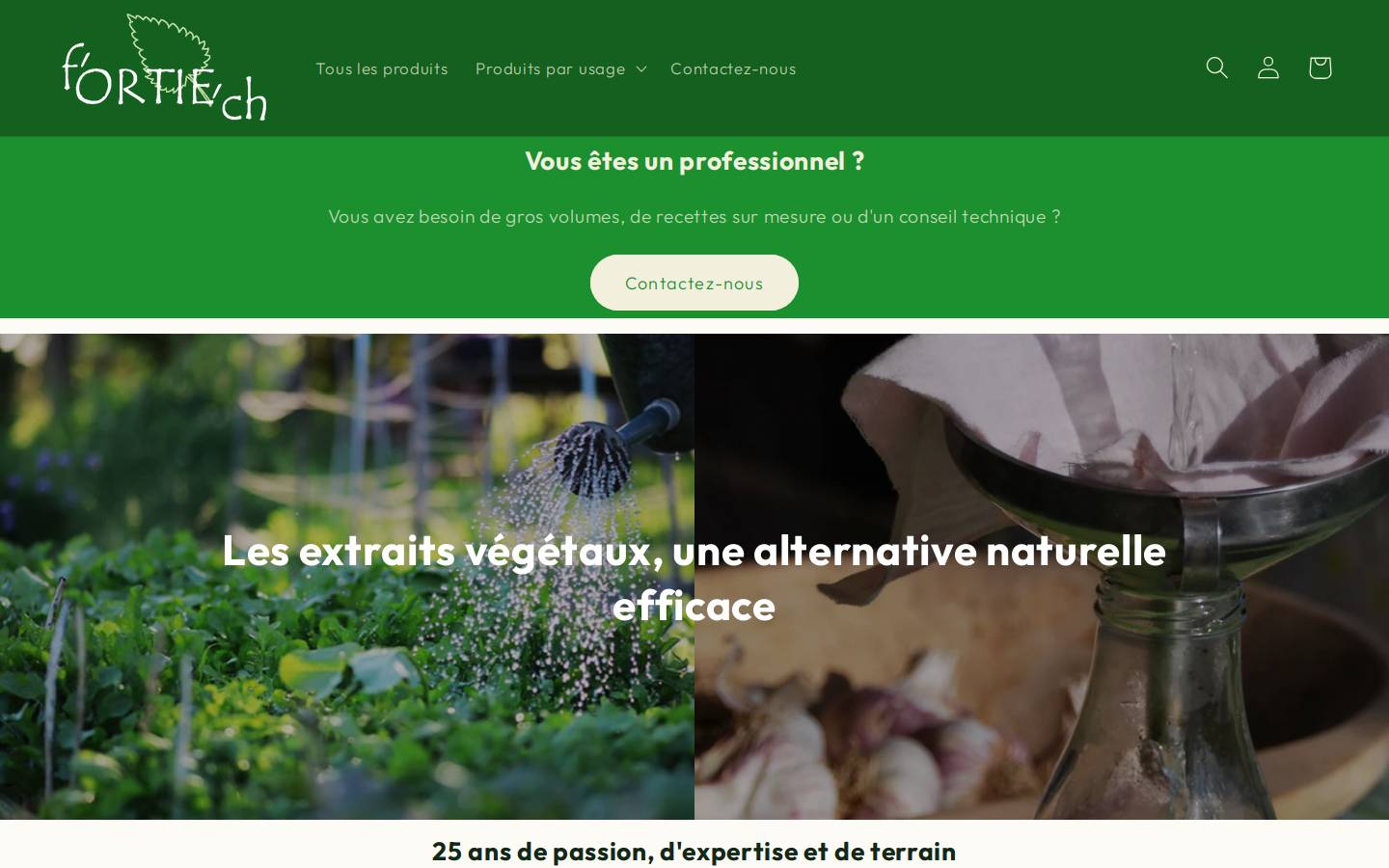 fortiech.fr homepage screenshot