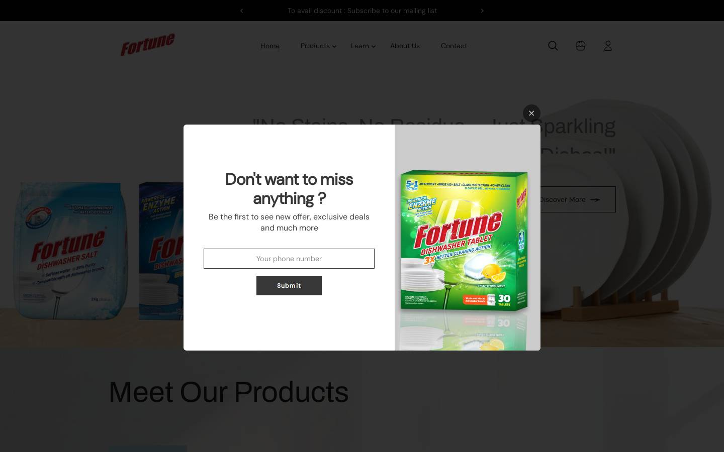 fortunedishwashing.com homepage screenshot