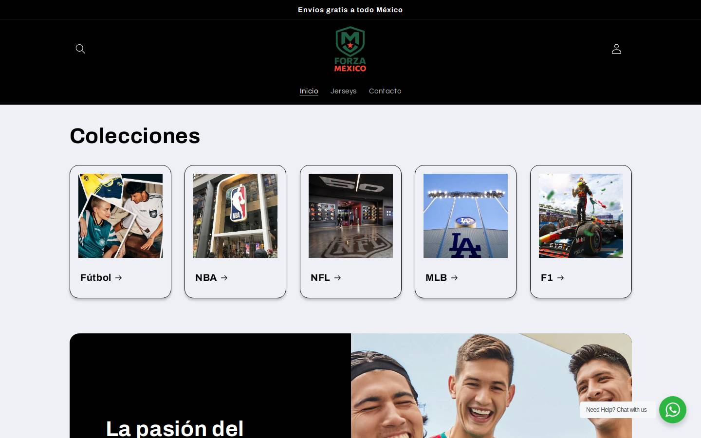 forzamexico.com homepage screenshot