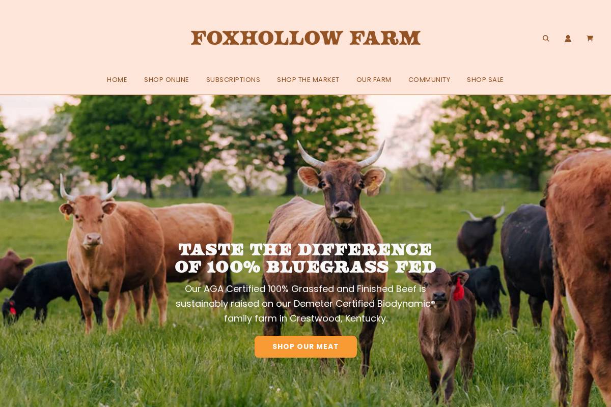 foxhollow.com homepage screenshot